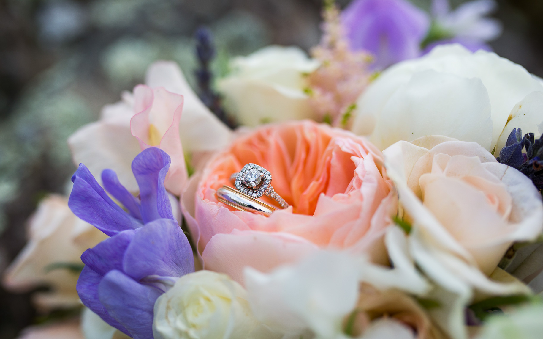Robert_Eleanor_Wedding_403.JPG