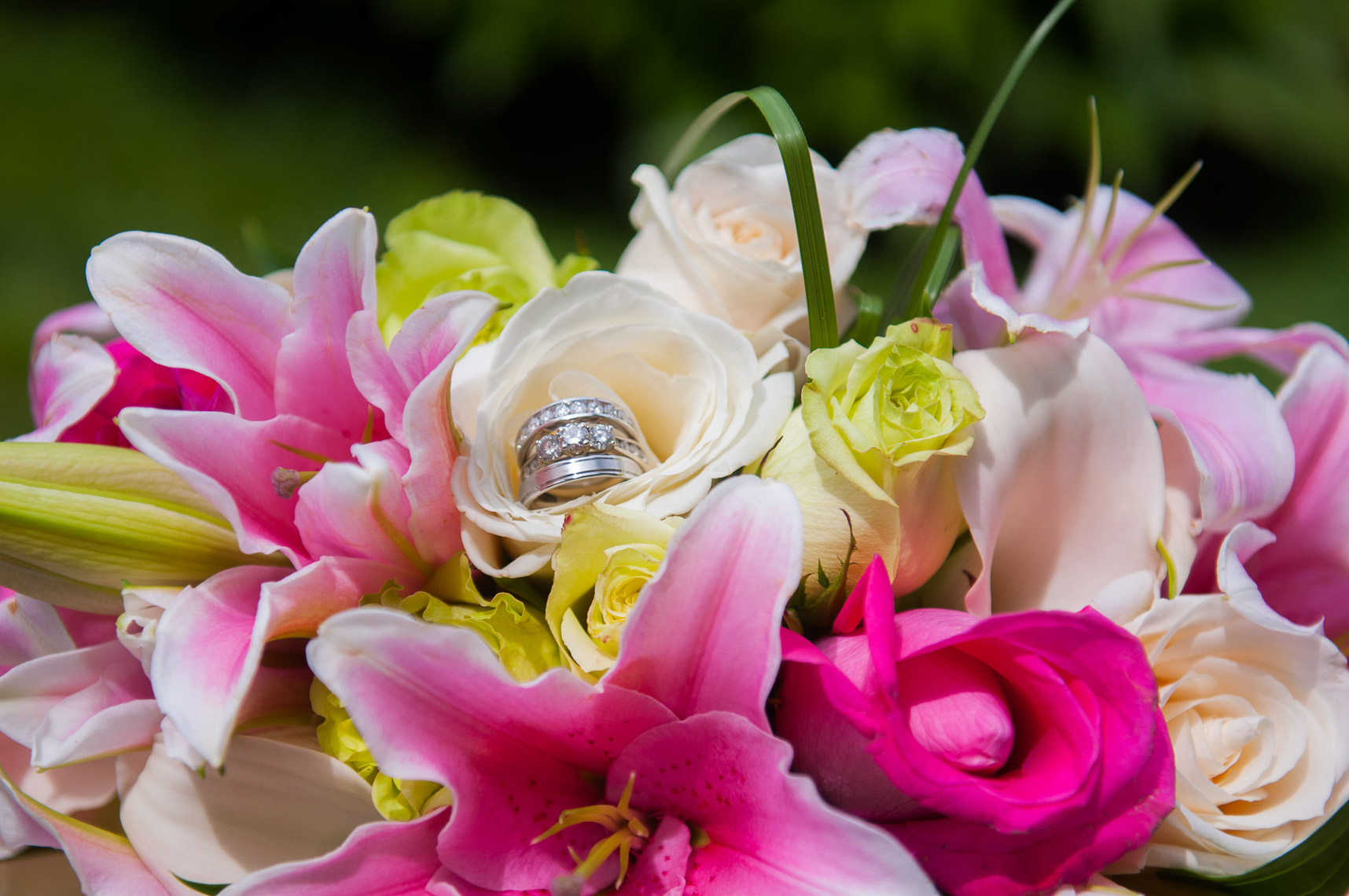 Trisha_Peter_Wedding_002.JPG